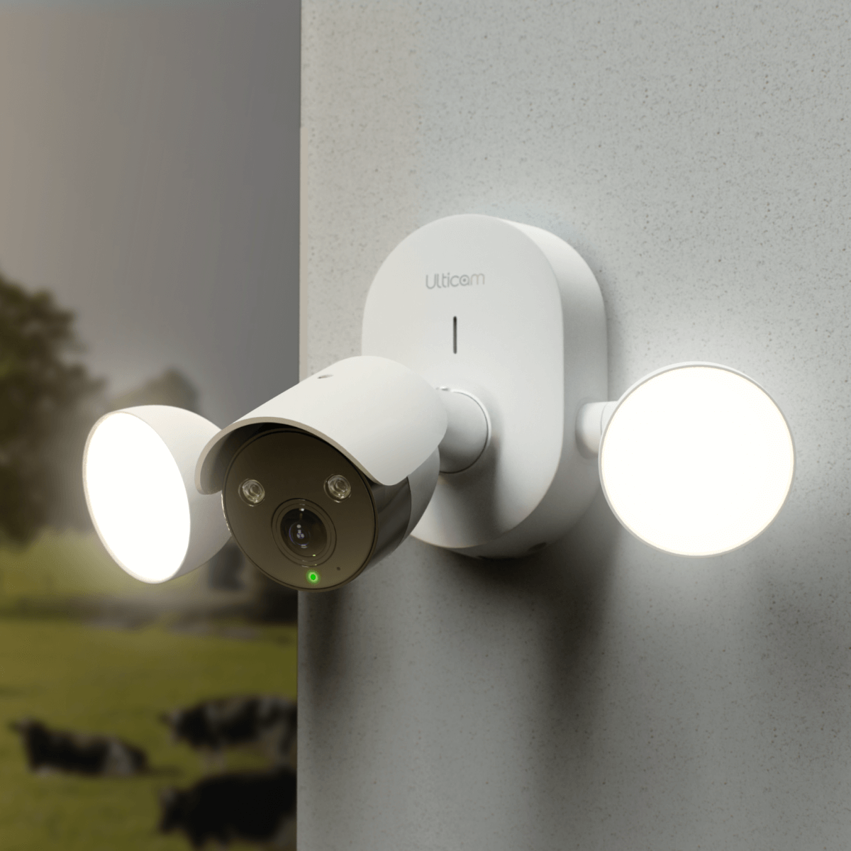 IQ Floodlight 4G